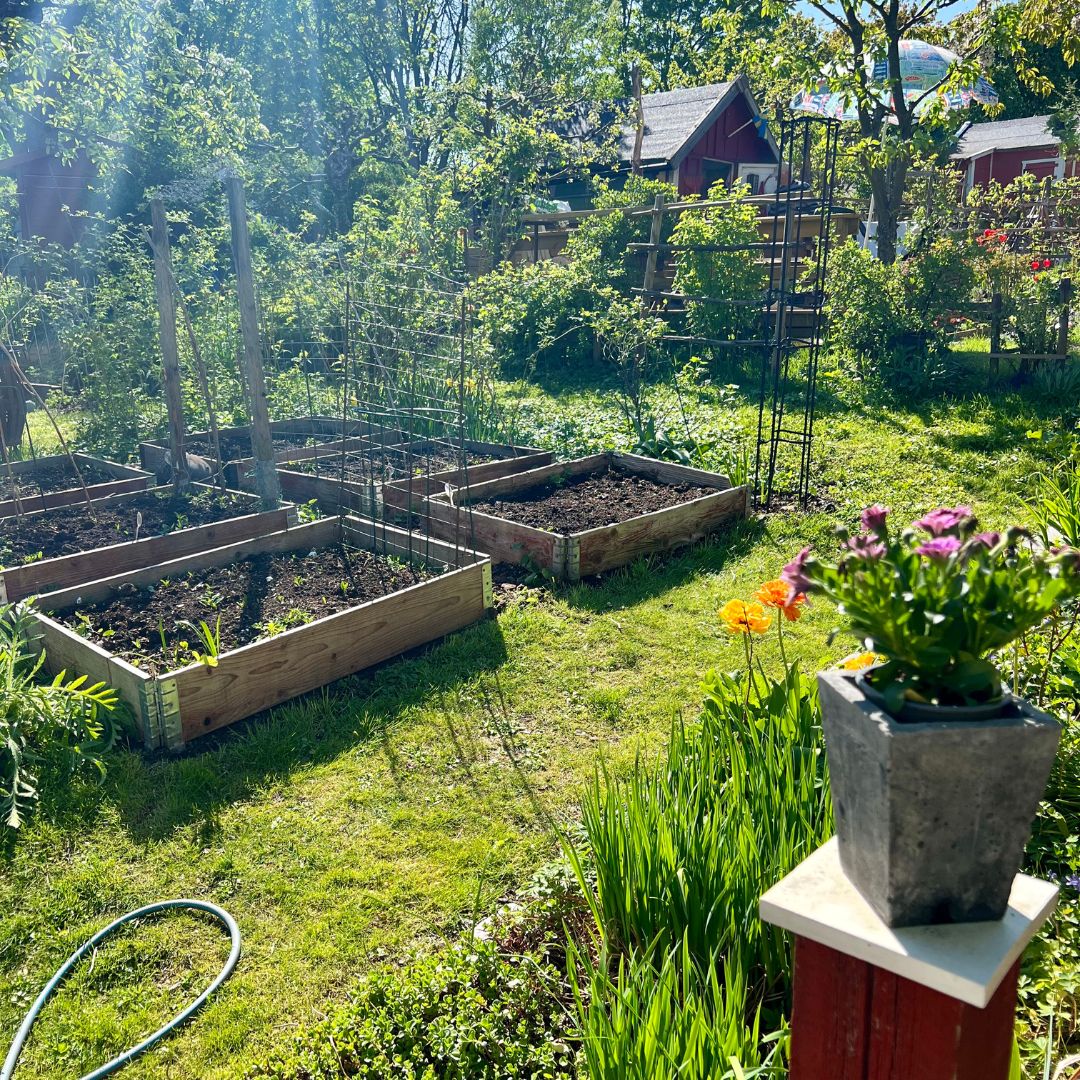 The Myriad Benefits of Community Gardens